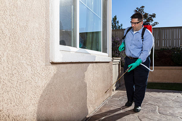 Best Pest Exclusion Services  in Haskins, OH